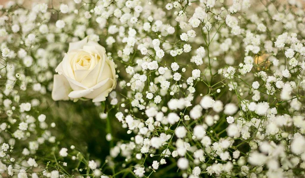 70dd17f1-8810-4a1b-a358-8754a3ff99a4