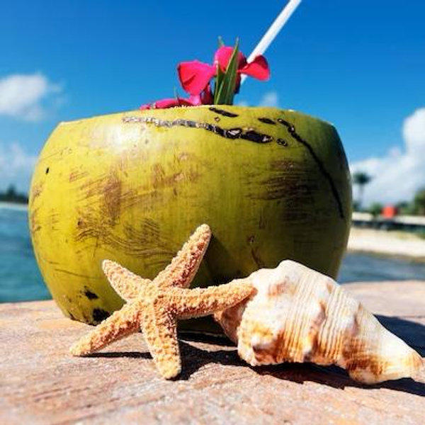 Coco en la playa/Coconut in the beach