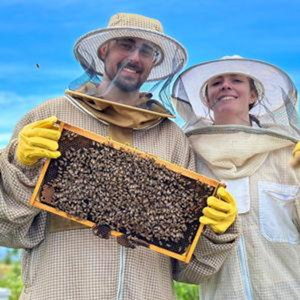 Honey Bee Adventure at the Maui Honey Bee Sanctuary