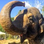 Santa Barbara Zoo