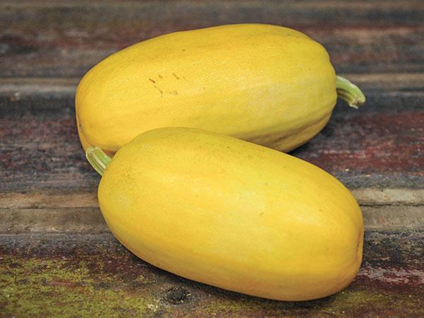 Vegetable Spaghetti Squash