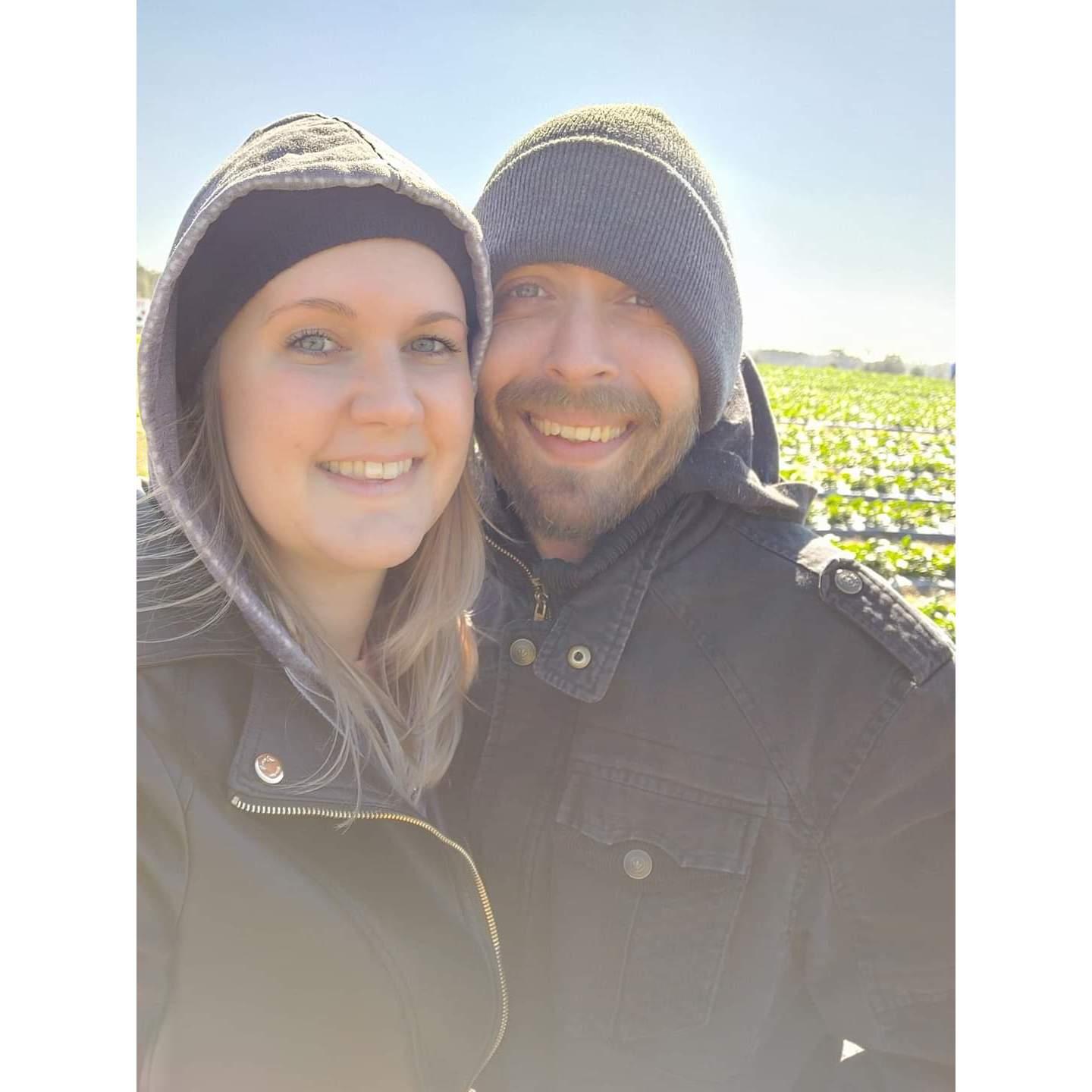 Strawberry picking 2022