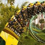 Busch Gardens Tampa Bay