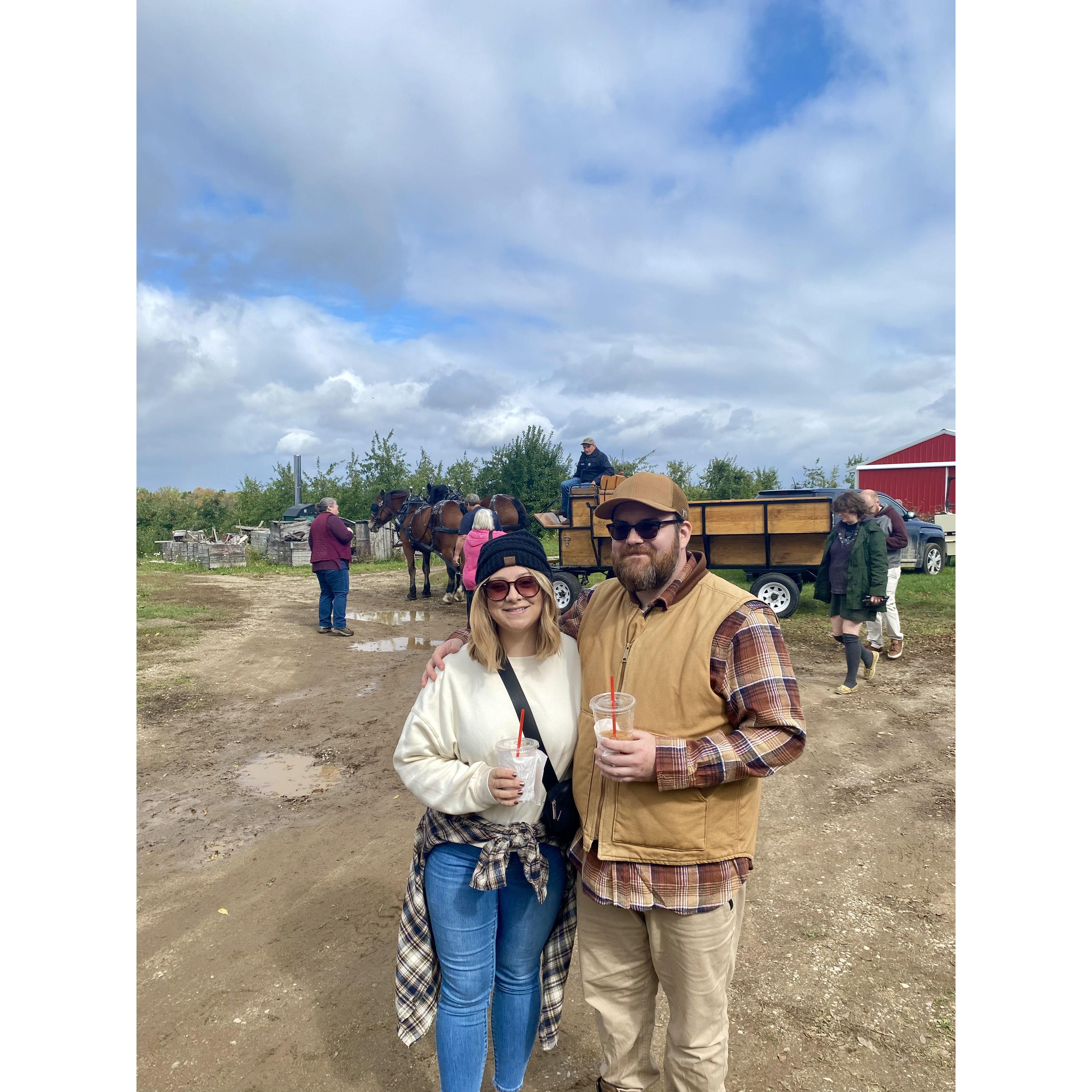 Apple Orchard
