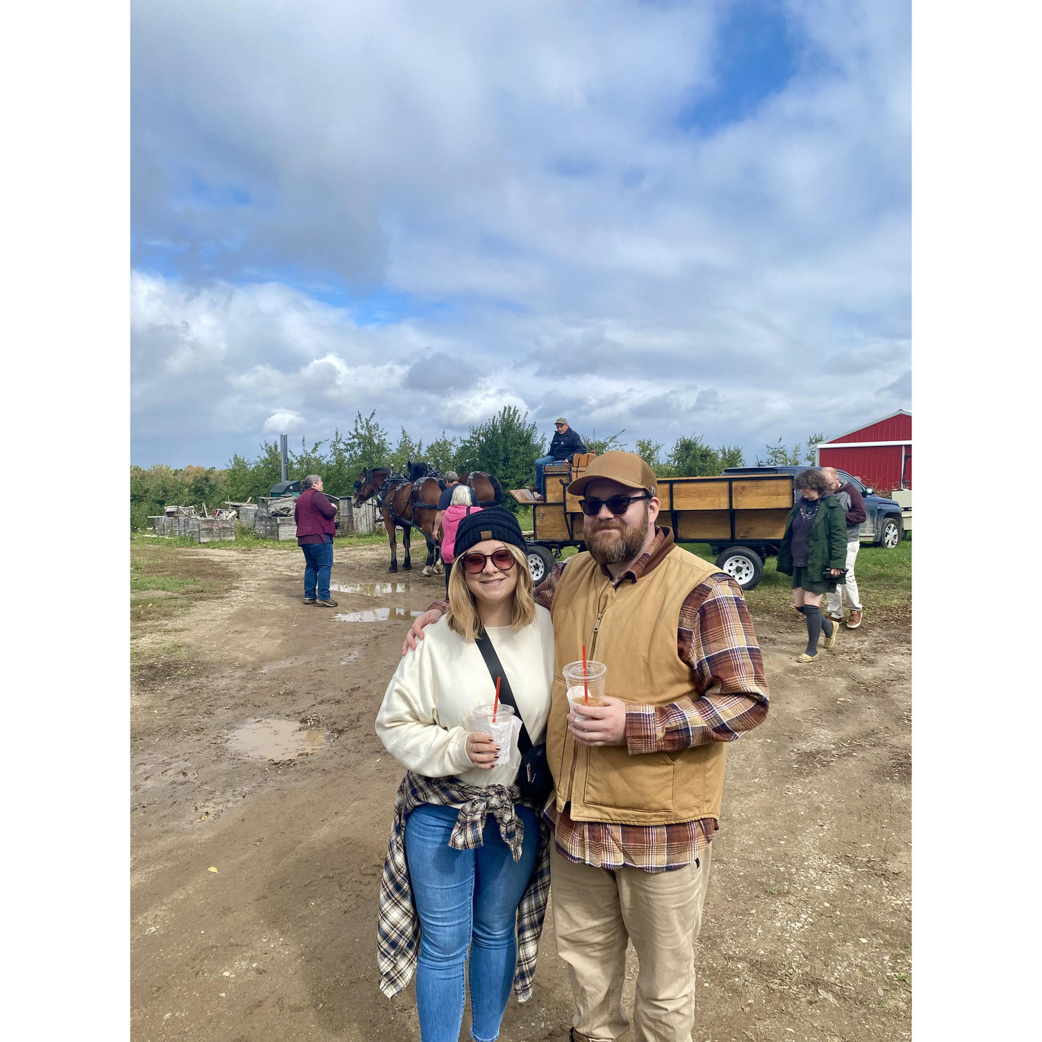 Apple Orchard