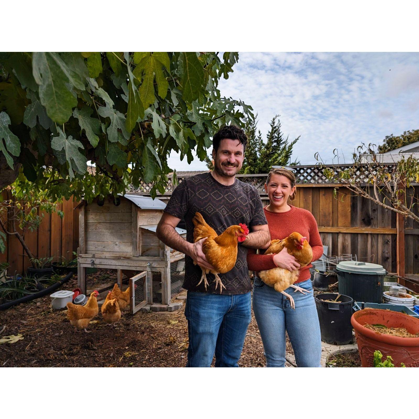 Holding some hens in Union City. December 2023.