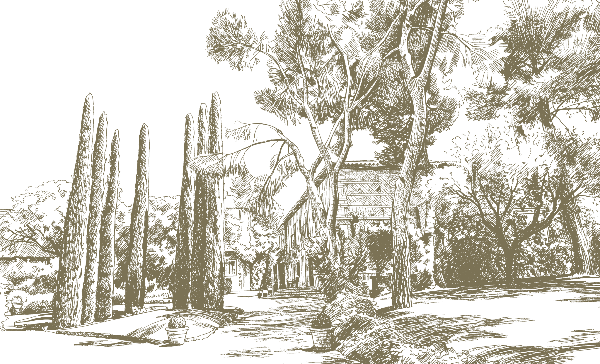 The Wedding Website of Elaine Reyes and C.J. Post