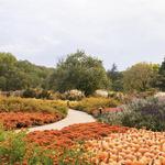 Cheekwood