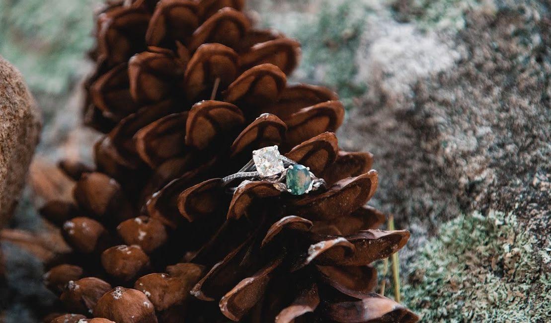The Wedding Website of Molly Maliska and Nicole Bogucki