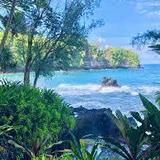 Hawai‘i Tropical Botanical Garden