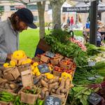 Memorial Centre Farmers Market