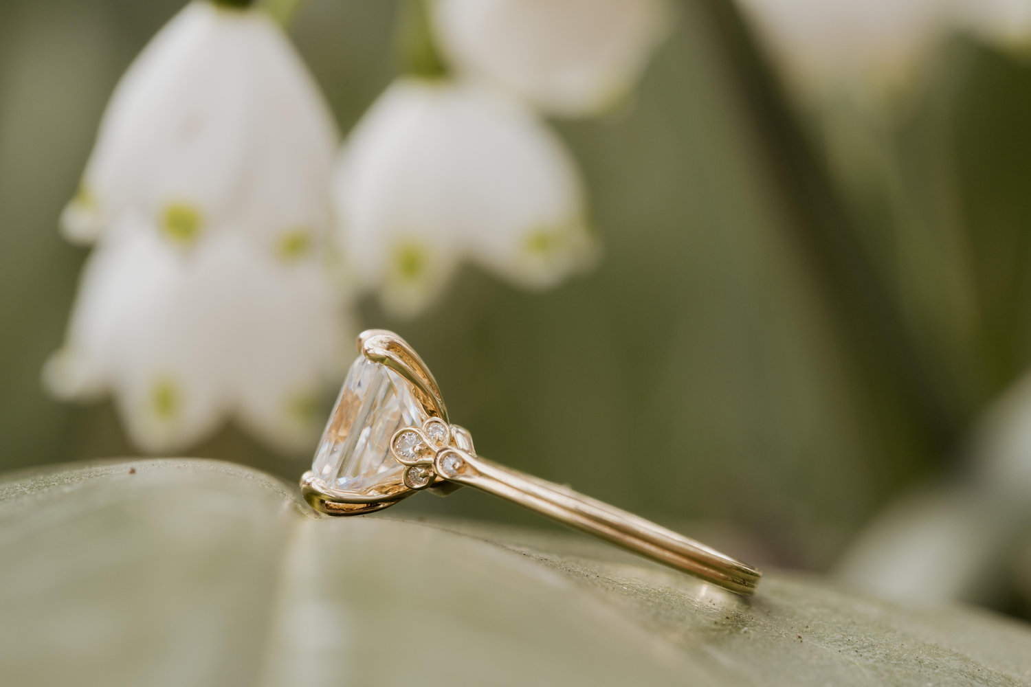 The Wedding Website of Jordan Morrison and Kamryn Garcia