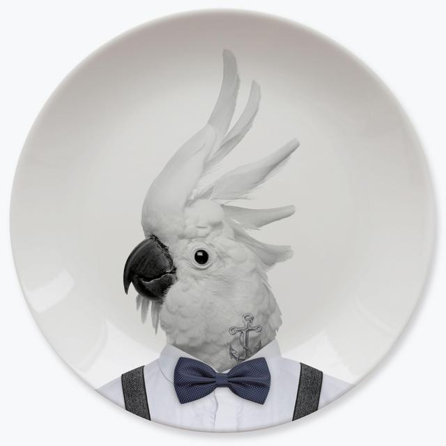 Wild Dining – Colin Cockatoo