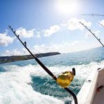 Sport Fishing