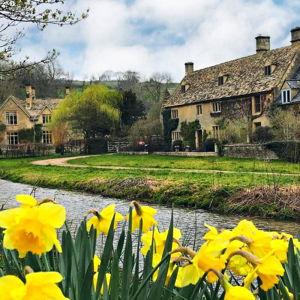 England Honeymoon Fund: Venmo Option
