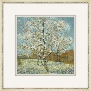 Temperate Season Series (4)