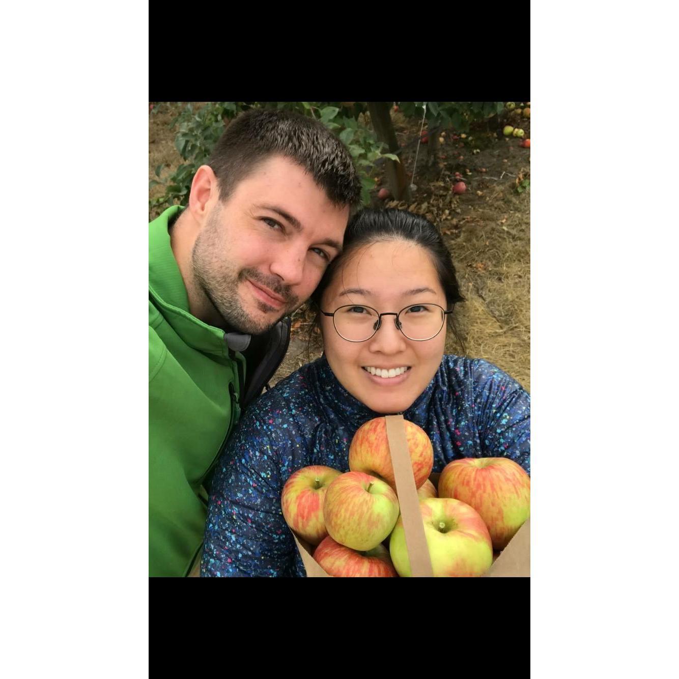 Rachel grabbing as many honeycrisp apples as she could carry in her arms.
