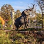 Saint Louis Zoo