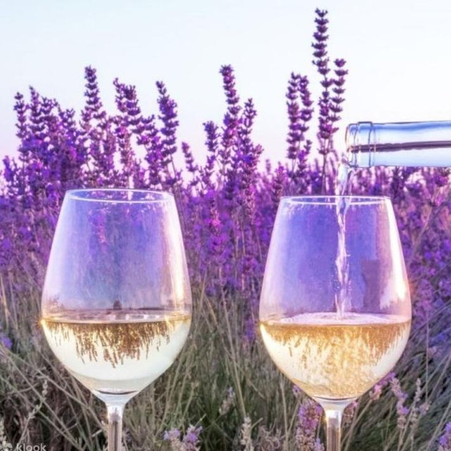 Honeymoon Wine Tour