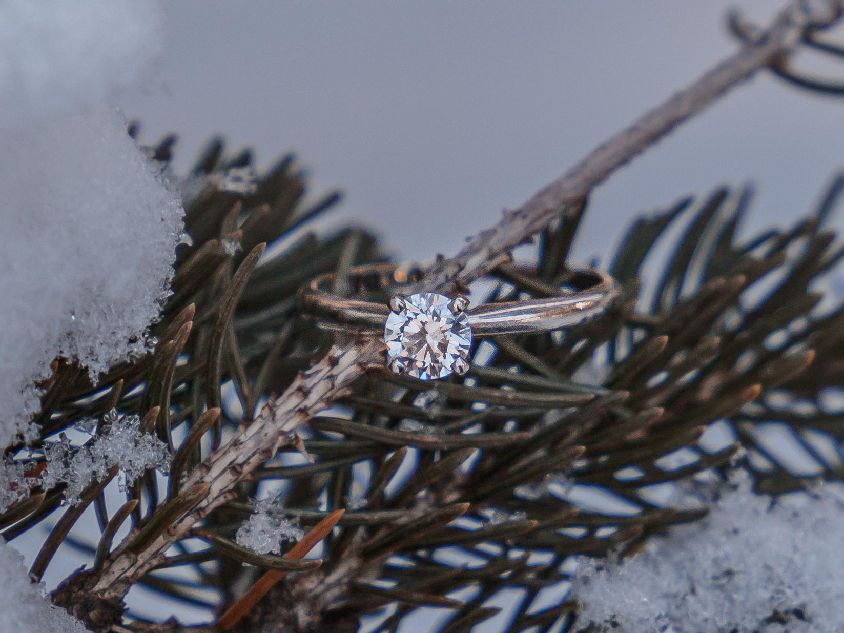 The Wedding Website of Renee Roberts and Leo Van Beck