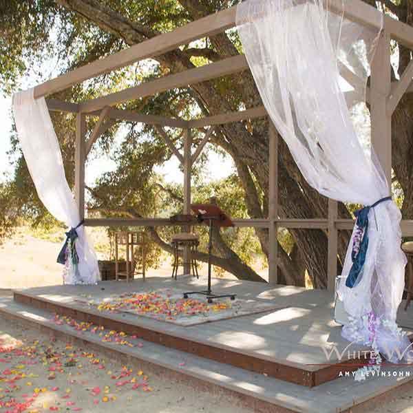 The Wedding Website of Amanda Estremera and Dan Bornholdt