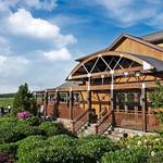 Macari Vineyards