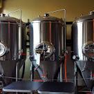 Rebel Toad Brewing Co.