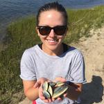 Activity | Go Clamming