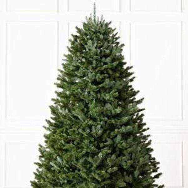 Caitlin's Christmas Tree Fund