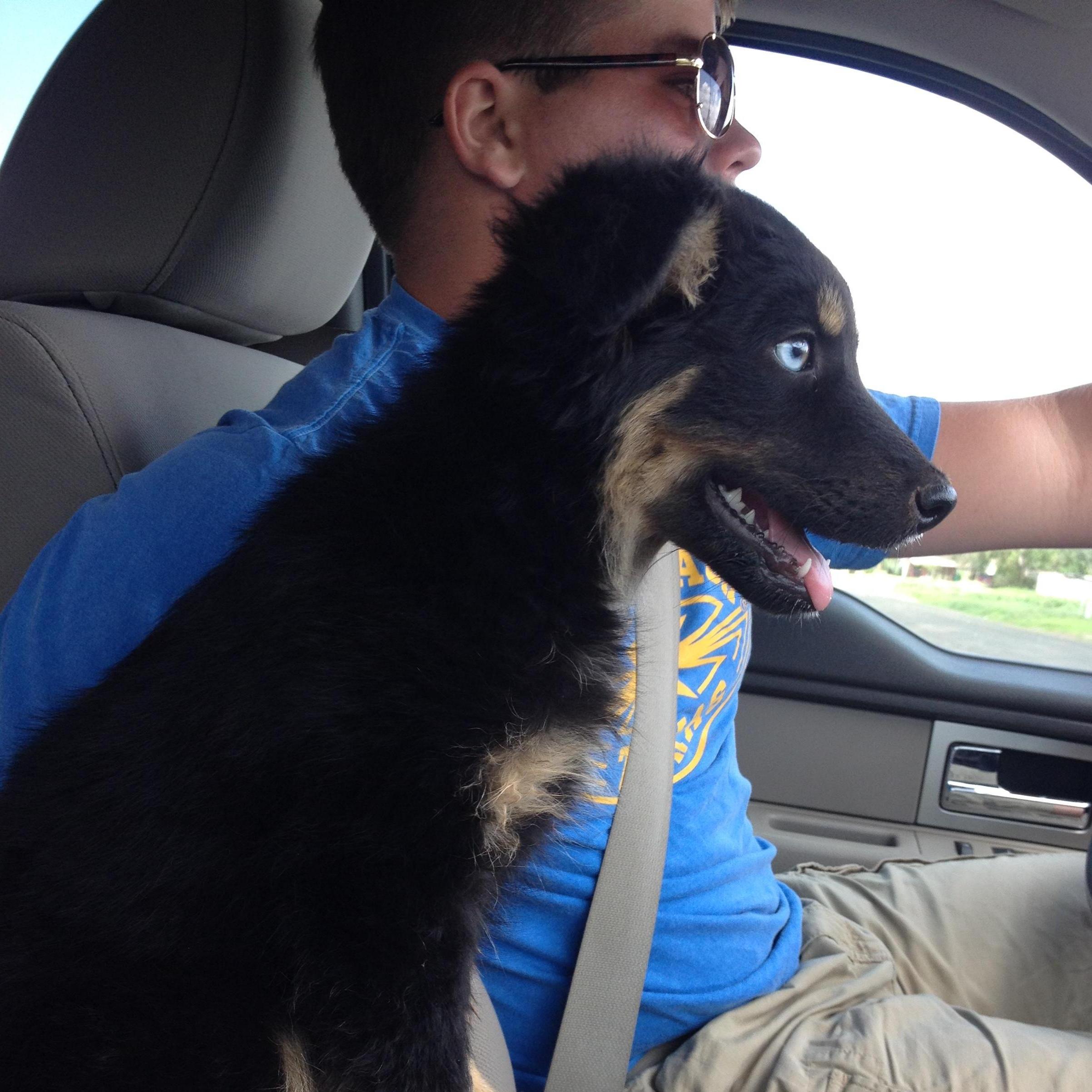 For all of those that know, Dixie is a special part of our little family and Trent full filled my heart for buying her for me. He knew my love for dogs from day 1.