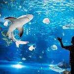 North Carolina Aquarium at Fort Fisher