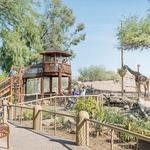 Phoenix Zoo