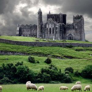 [Honeymoon] Ireland Fund