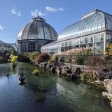 Anna Scripps Whitcomb (Bell Isle) Conservatory