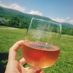 King Family Vineyards