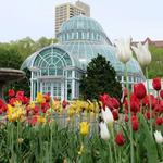 Brooklyn Botanic Garden