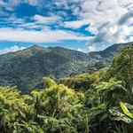 El Yunque National Rain Forest