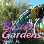 Busch Gardens Tampa Bay