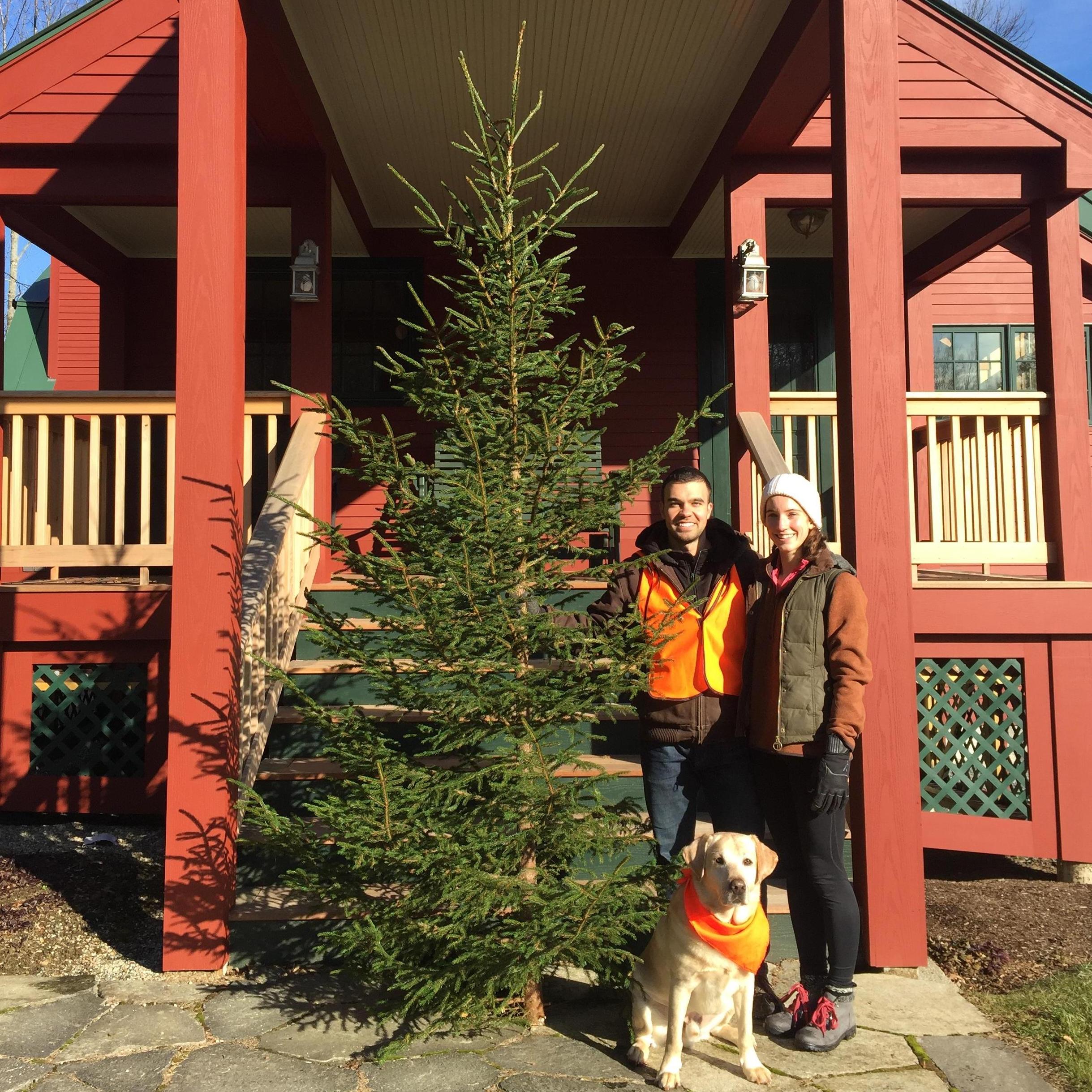 Our first Christmas tree!