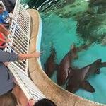 Sandoway Discovery Center