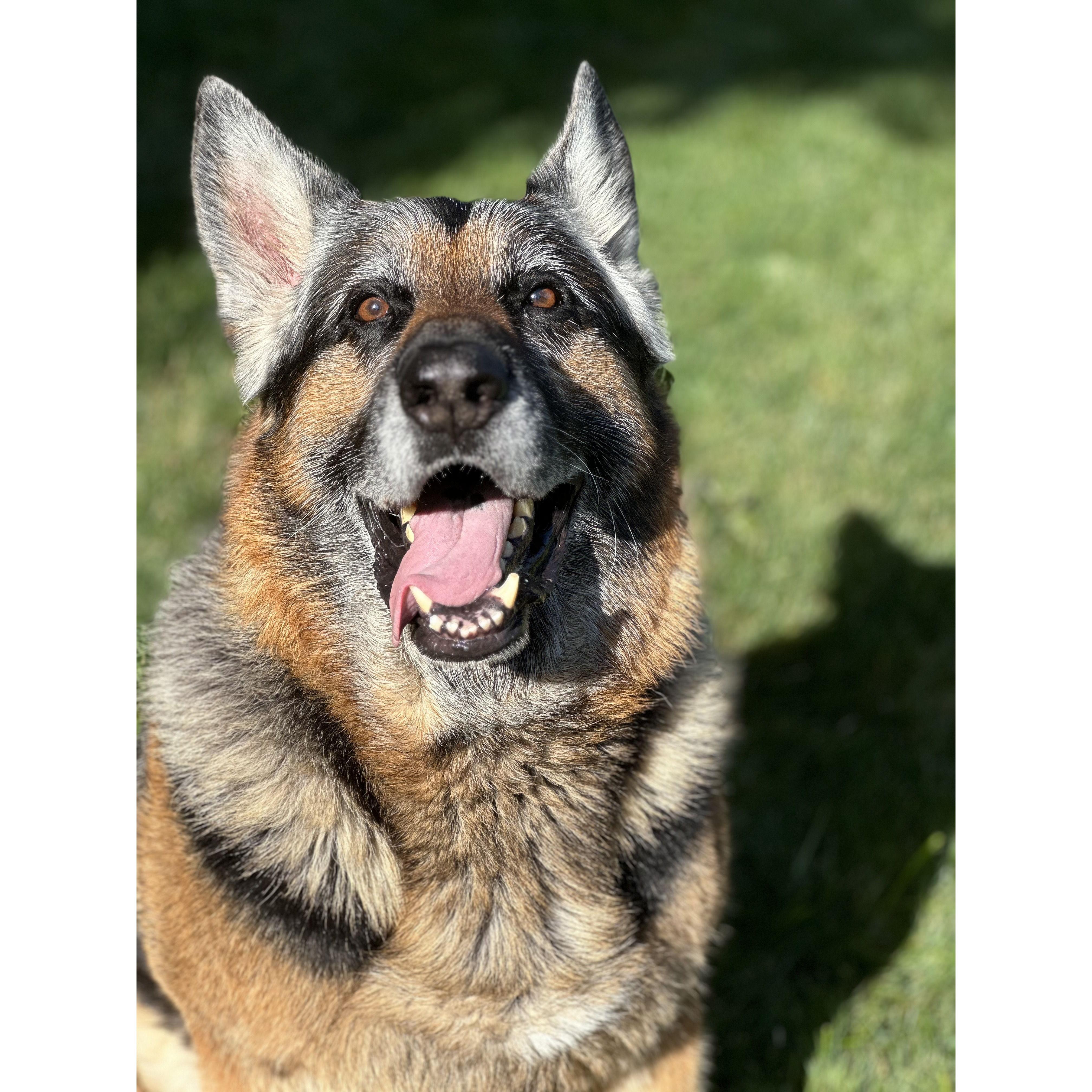 The Best Boy ever Diezel
