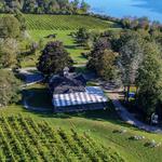 Greenvale Vineyards