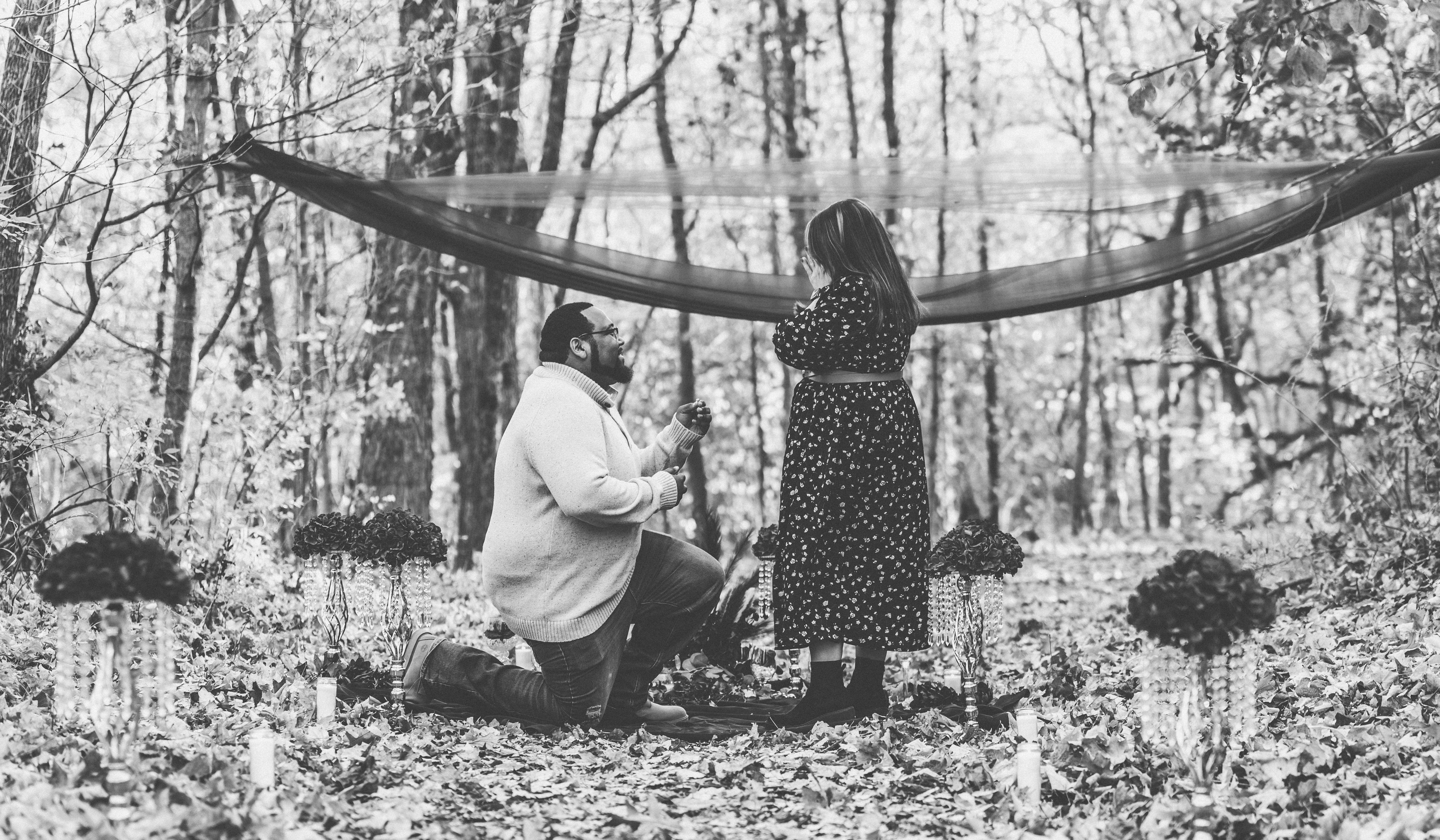 Hero Slideshow Image 0