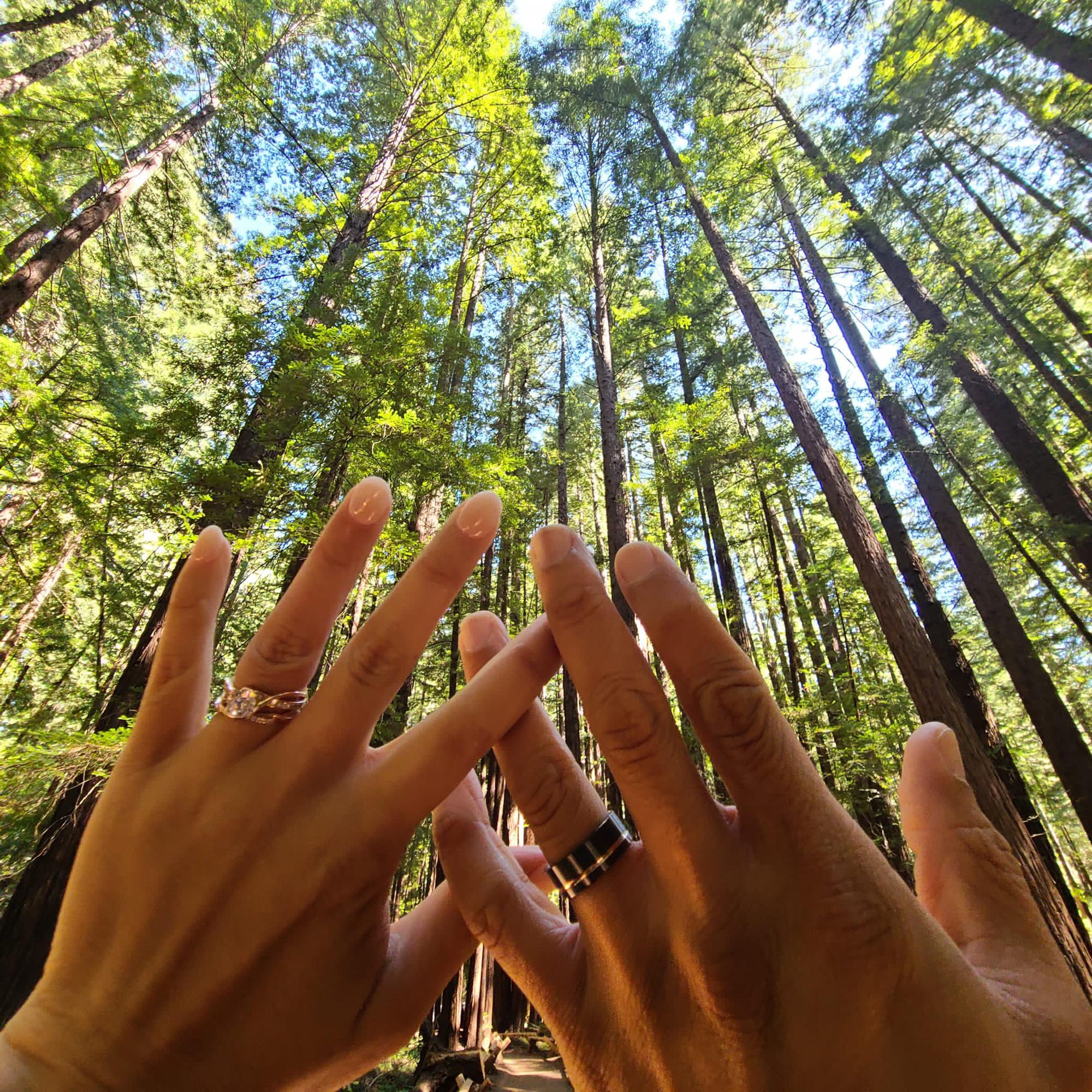 Following our ceremony, we took some time to ourselves along the California coast. We love tall, tall trees.