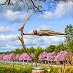 Sculpterra Winery and Sculpture Garden