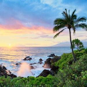 Our Honeymoon Fund to Hawaii