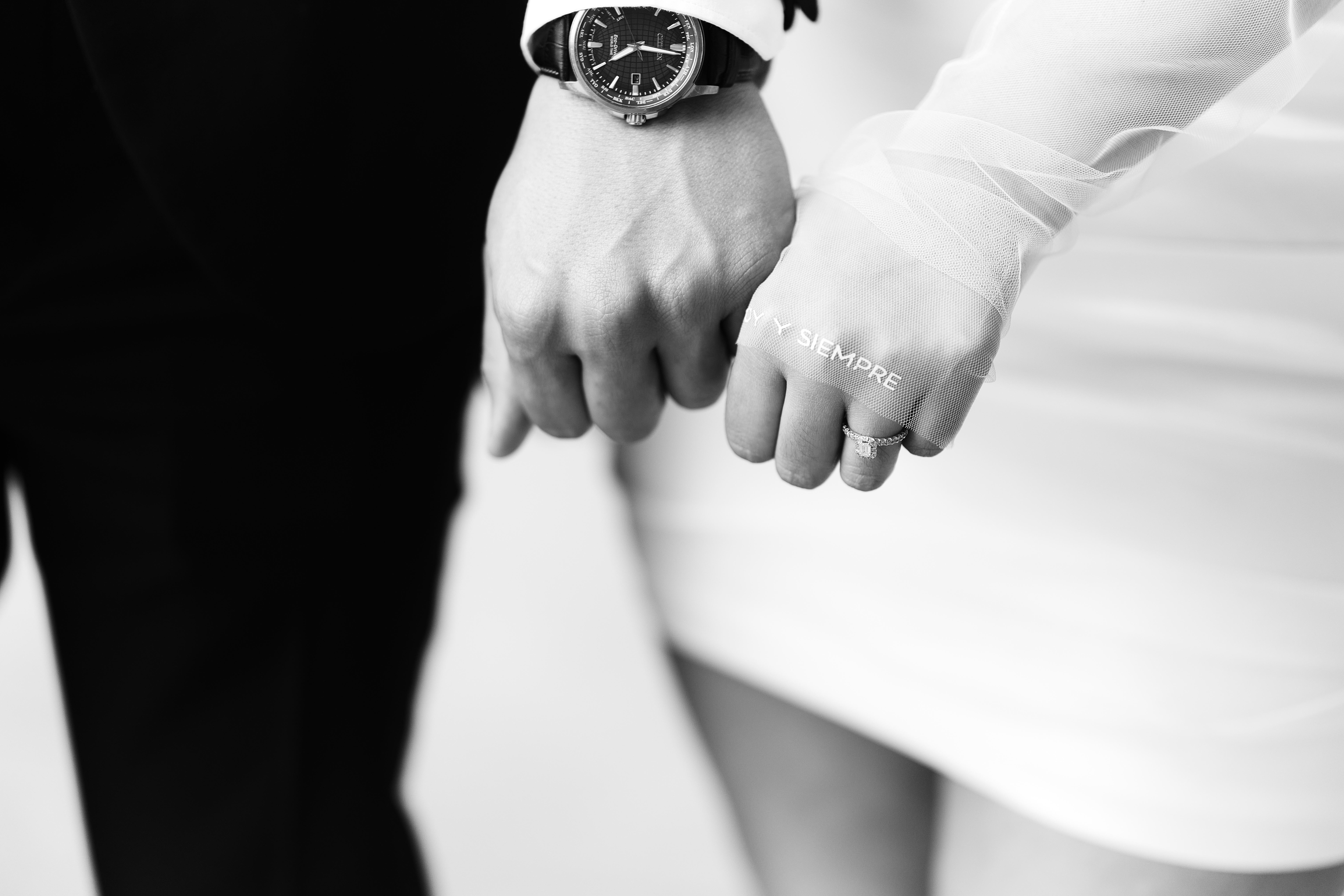 The Wedding Website of Nicole Castellanos and Anthony Calvo