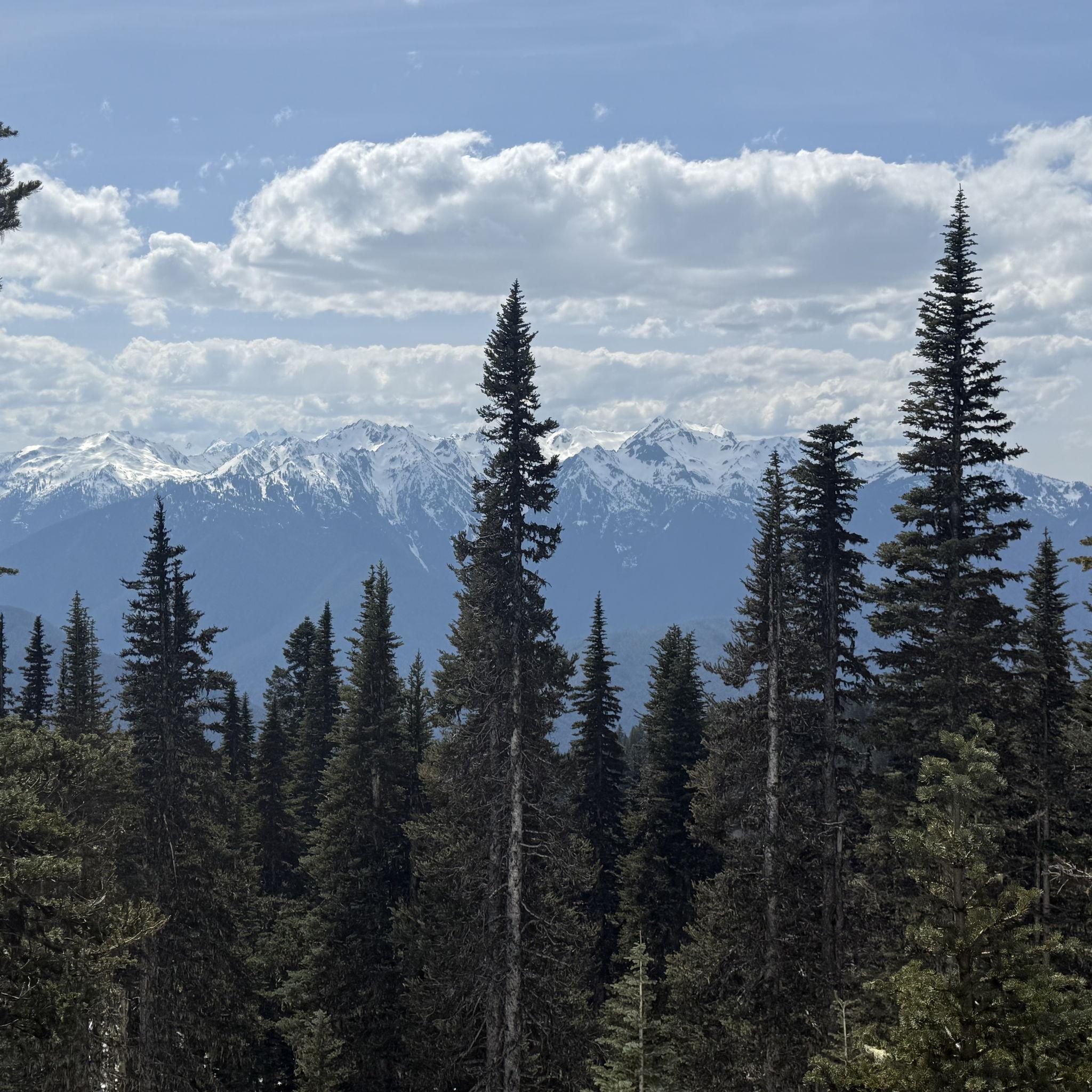 Trip to Olympic National Park for a snowy hike.