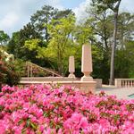 Events: 83rd Annual Azalea Trail
