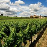 Arnaldo Caprai Winery